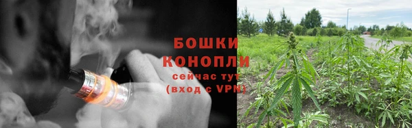 mdpv Костерёво