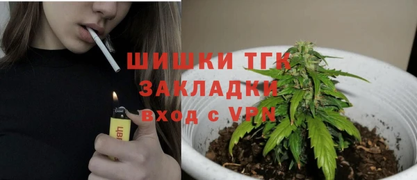 mdpv Костерёво