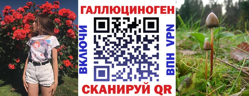 Псилоцибиновые грибы Cubensis  Купить где  Теберда 
